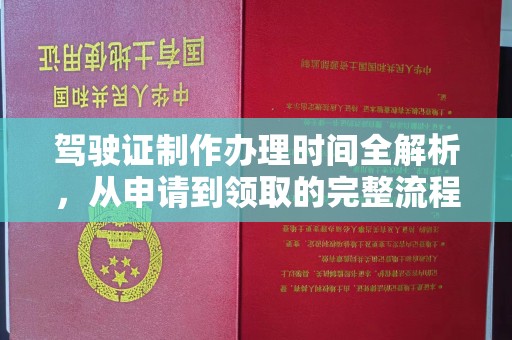 薛城驾驶证制作办理时间全解析，从申请到领取的完整流程