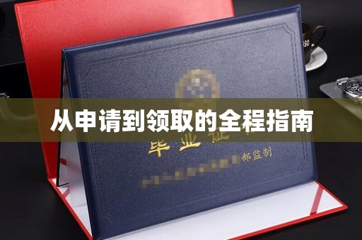 薛城从申请到领取的全程指南