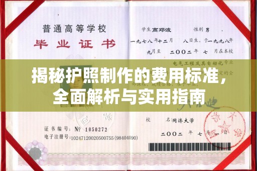 薛城揭秘护照制作的费用标准，全面解析与实用指南