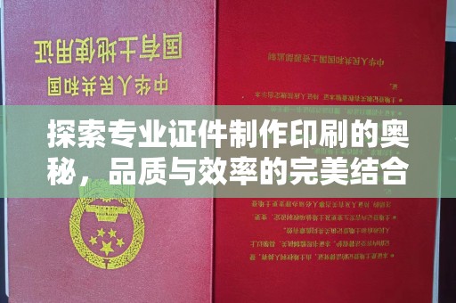 薛城探索专业证件制作印刷的奥秘，品质与效率的完美结合