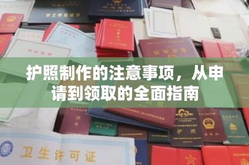 薛城护照制作的注意事项，从申请到领取的全面指南
